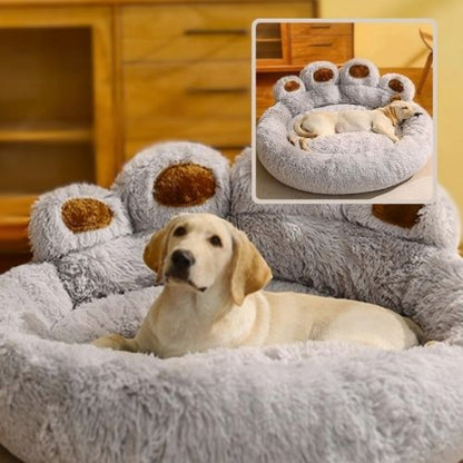 labrador allongé dans panier pour chien gris patte