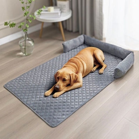 labrador allongé sur canapé lit pour chien gris foncé douni