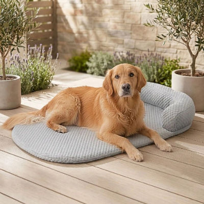 labrador allongé sur tapis rafraichissant chien gris kolos