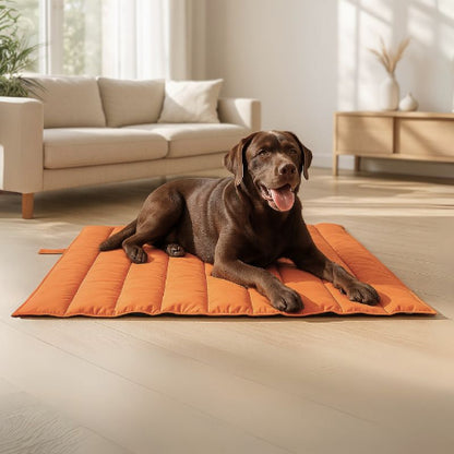 labrador allongé sur tapis rafraichissant chien orangé aéria