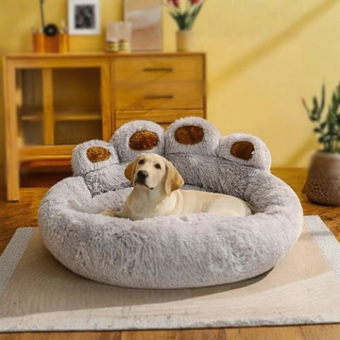 labrador couché dans panier pour chien gris patte