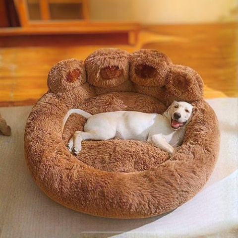 labrador couché dans panier pour chien marron patte