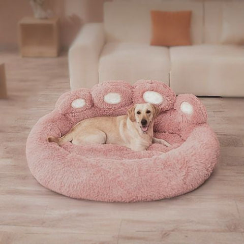 labrador couché dans panier pour chien rose patte