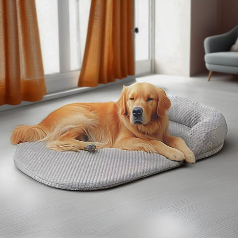 labrador couché sur tapis rafraichissant chien gris kolos