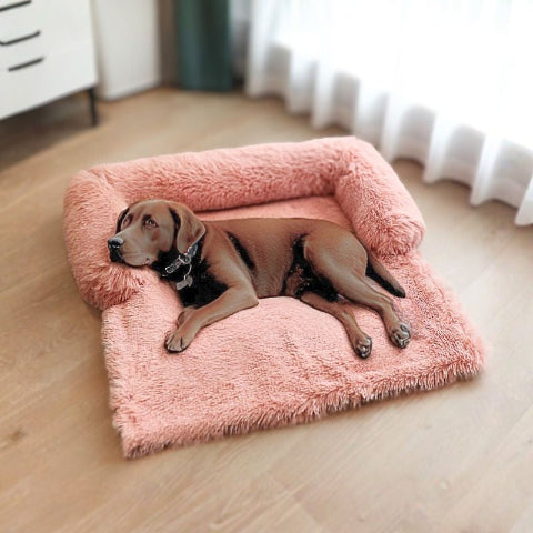 labrador endormi sur canapé lit pour chien rose nidou