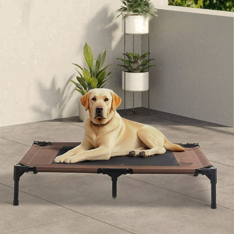 labrador retriever allongé sur lit de camp marron bondaflex