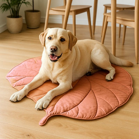 labrador retriever allongé sur tapis pour chien rose farfel