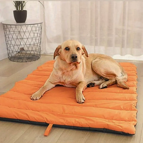 labrador retriever couché sur tapis rafraichissant chien aéria