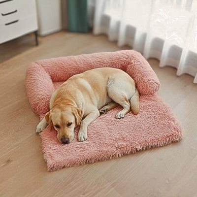 labrador sur canapé lit pour chien rose nidou