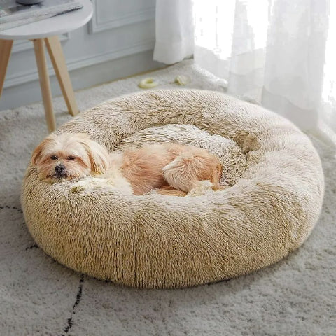 lhassa apso allongé dans panier xxl pour chien beige douillet