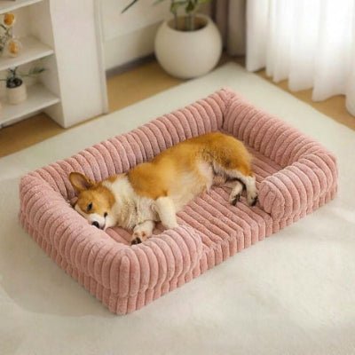 Corgi sur un lit canapé pour chien Doucinou rose avec mousse alvéolée dense