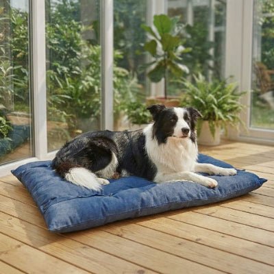 Border collie couché sur un lit chien Flexi bleu lavable en machine