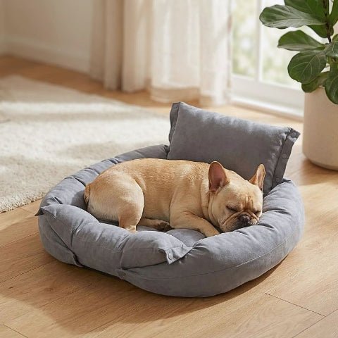 Bouledogue français assis sur un lit chien Flexi gris en coton PP dense