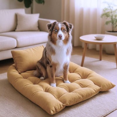 Berger australien assis sur un lit chien Flexi jaune en tissu oxford hydrofuge