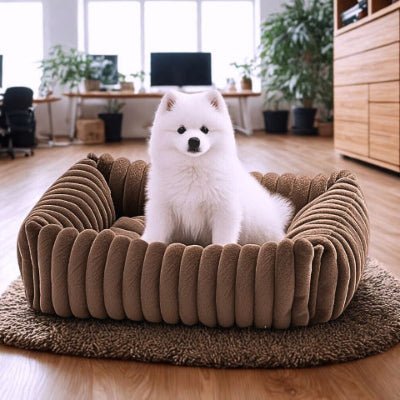 spitz japonais assis dans un lit chien marron foncé en peluche anti-poils