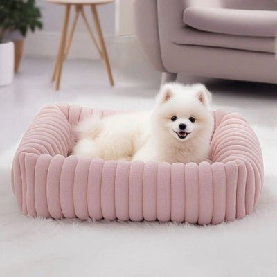 spitz japonais allongé dans un lit chien rose soulageant les articulations