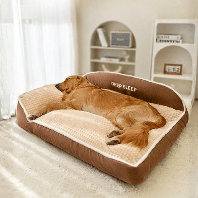 Golden retriever allongé sur un lit chien Relaxol marron pour grandes races