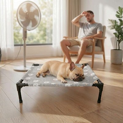 Bouledogue français endormi sur lit de camp chien Bondaflex gris ultrarésistant