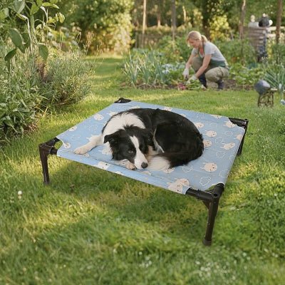 Border collie sur un lit de camp chien Bondaflex bleu respirant facile à laver