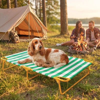 Cocker couché sur un lit de camp pour chien Solel rayé vert anti-poils Oxford