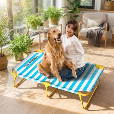 Golden retriever assis sur lit de camp pour chien Solil rayé bleu transportable