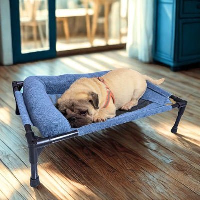 Carlin couché sur lit de camp pour chien Trempol bleu avec oreiller ergonomique