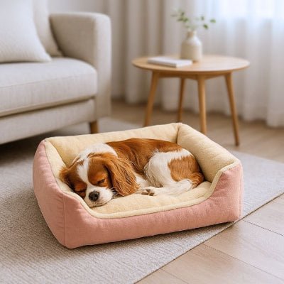 Cavalier king charles dans un lit pour chien Loulou rose en peluche polaire