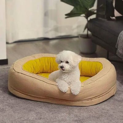 Caniche toy couché dans un lit pour chien Ovalon beige avec housse lavable