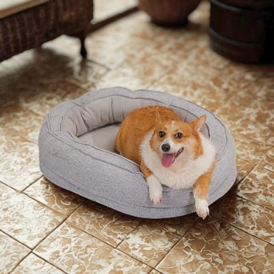 Corgi allongé dans un lit pour chien Ovalon gris garni d'une mousse alvéolée