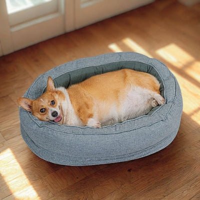 Corgi couché dans un lit pour chien Ovalon bleu avec rebord moelleux