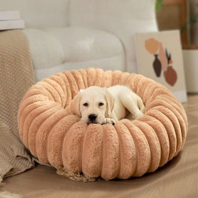 Chiot labrador allongé dans un lit pour chien Spirou abricot avec bord surélevé