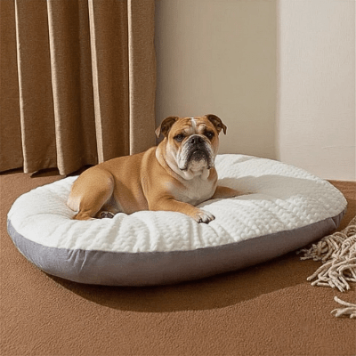 Bouledogue français sur un matelas pour chien Nuagio blanc avec housse amovible