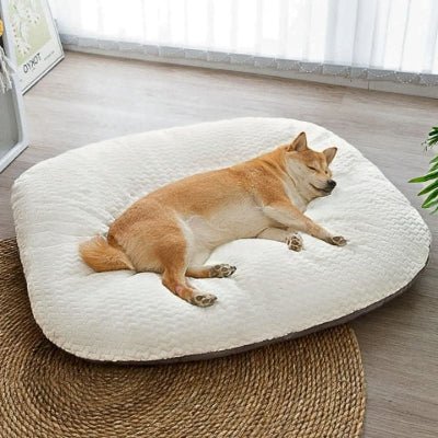 Shiba inu sur un matelas pour chien Nuagio blanc en fibre de corail chaleureux