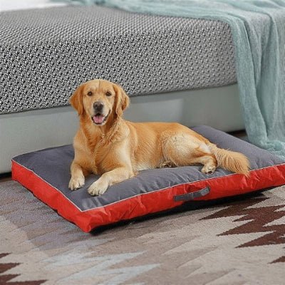Golden retriever sur un matelas pour chien Resistar rouge avec housse amovible
