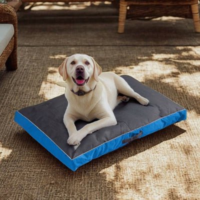 Labrador sur un matelas pour chien Resistar bleu soulageant les articulations
