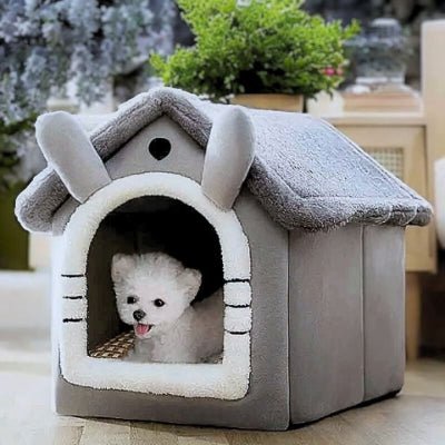 bichon maltais dans une niche chien intérieur saisonia grise en velours arctique