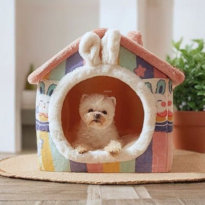 Bichon toy allongé dans niche chien intérieur Lapinou arc-en-ciel motif lapin