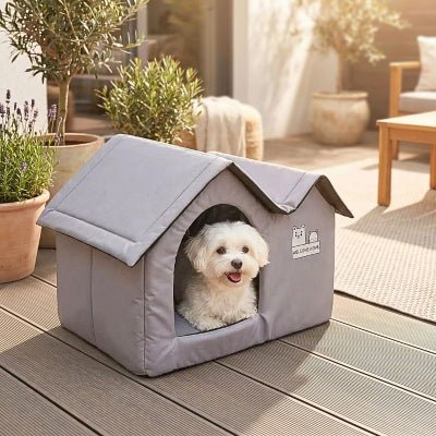 Bichon maltais couché dans niche d'intérieur pour chien Glacine mignonne grise