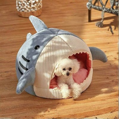 Caniche toy dans une niche d'intérieur pour chien Requinou bleue réconfortante