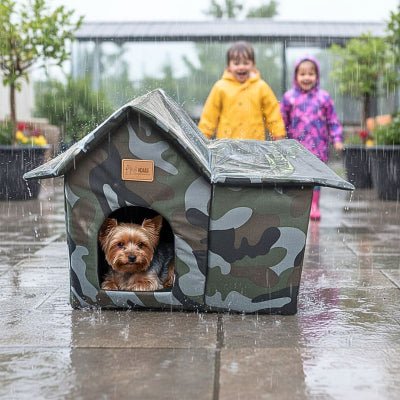 yorkshire terrier dans une niche extérieur pour chien imperméable verte et kaki