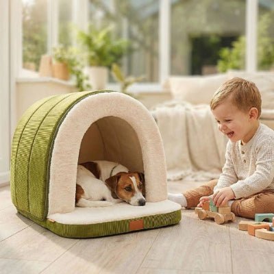 Enfant près d'un jack russell dans une niche pour chien intérieur Cosynid verte
