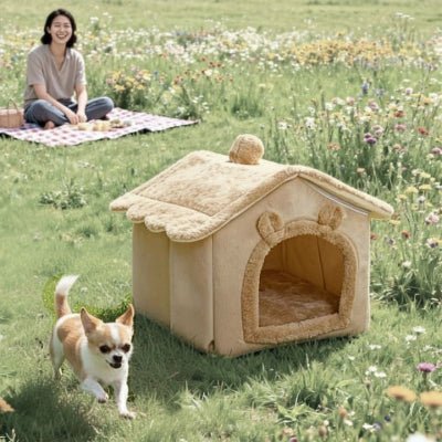 Chihuahua près de la niche pour chien intérieur Doucette marron à l'extérieur