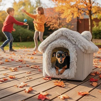 Pinscher nain dans une niche pour chien intérieur Douchalais tissu polaire grise
