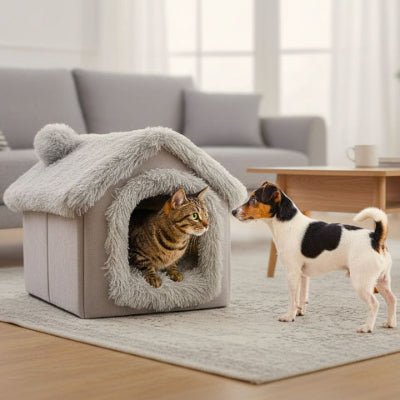Toy fox terrier devant une niche pour chien intérieur Douchalais grise