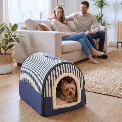 Yorkshire terrier dans une niche pour chien intérieur Nuvia bleue et beige