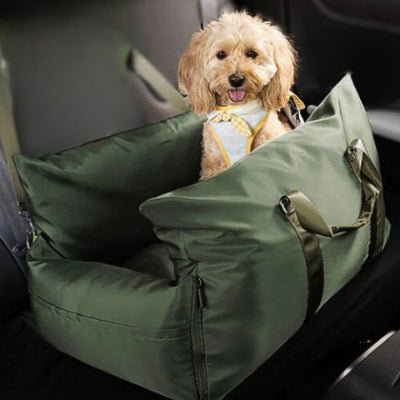 caniche toy assis dans panier à chien nomadix vert foncé avec coussin réversible
