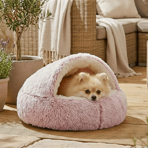 Poméranien couché dans son panier à chien Cookie rose antidérapant