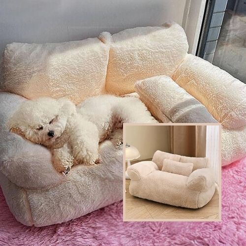 un caniche toy est allonge dans son canape beige qui repose sur un beau tapis rose dans le coin inferieur droit un cadre avec une photo du canape beige