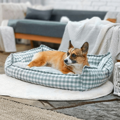 Corgi couché dans un panier chien Cocooning vert confortable et respirant
