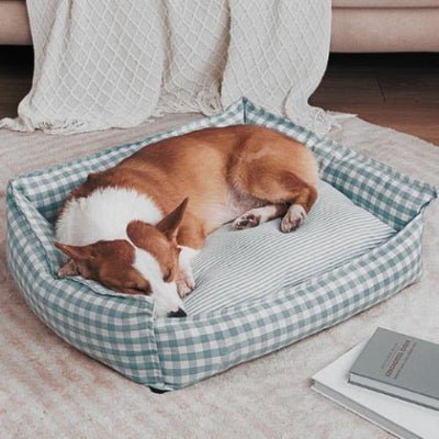 Corgi endormi dans panier chien Cocooning vert en lin et coton Oxford 4 saisons